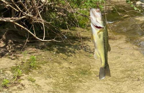 Cabin 2 - steps from the river! - Foto 22