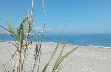 Casale Chiara & Giulia - Foto 35