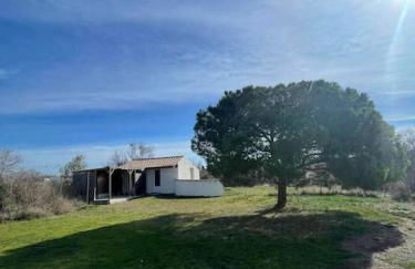 De l'eau et des oiseaux ! - Foto 9