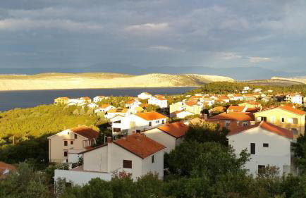 Holiday Home Villa "Paradise Farm" - Photo 64