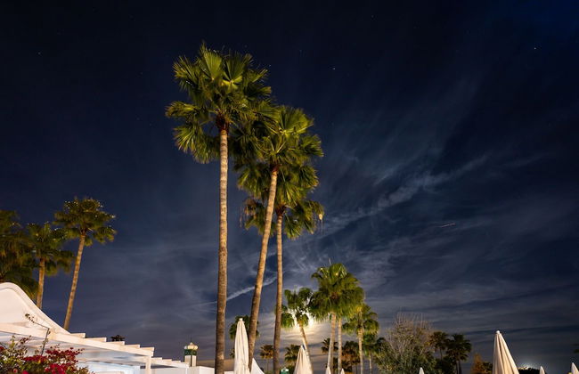 Hyde Park Lane - Foto 79