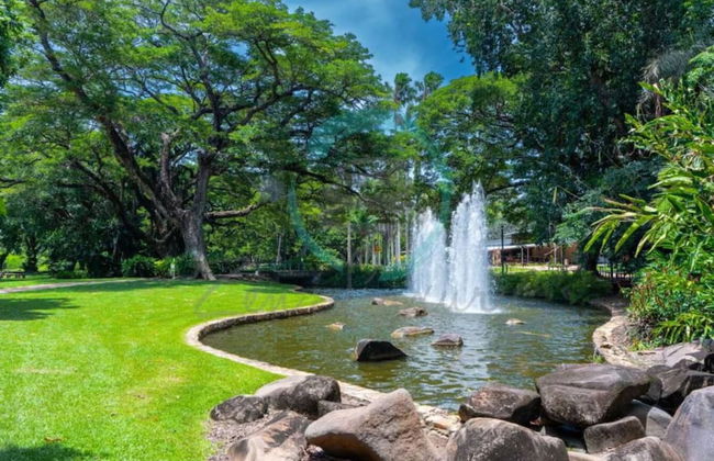 Zen By The Sea Pool - Balcony Dining - Seaview - Photo 27