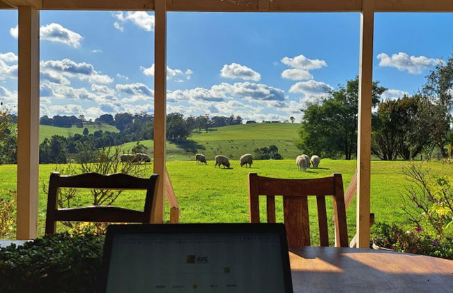 Jilly Park Farm Interactive Experience - Foto 24