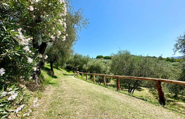 Hillside Retreat Near 5 Terre - Foto 39