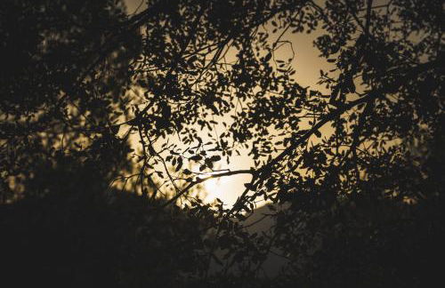 Casa rural Mas del Serranet - Foto 16