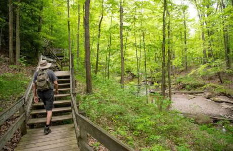 NEW Renovated Near CLE - King Bed, Metropark & Firepit - Foto 13