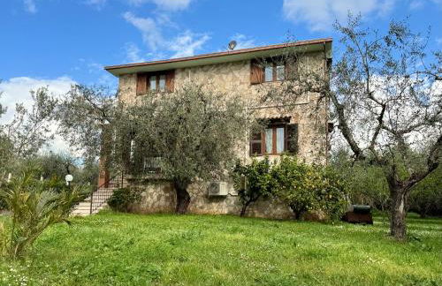 La Piccola Provenza - Foto 1