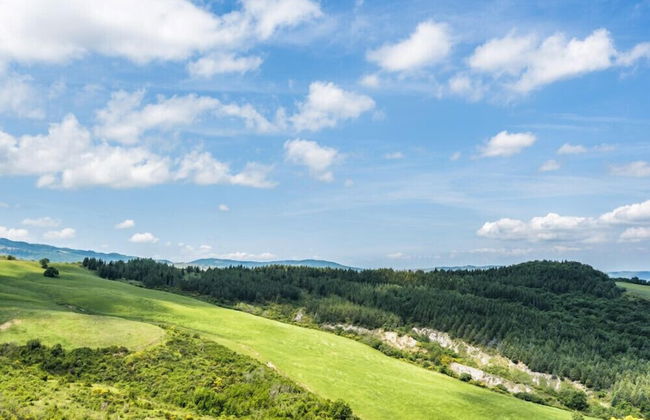 Verdidea - Podere del Mezzadro - Foto 73