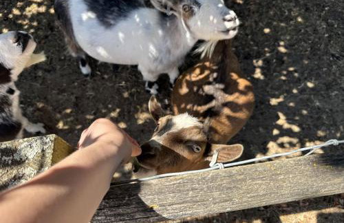 Cosy Cotswolds Cottage Farm Stay - Shepherds Rest - Photo 48