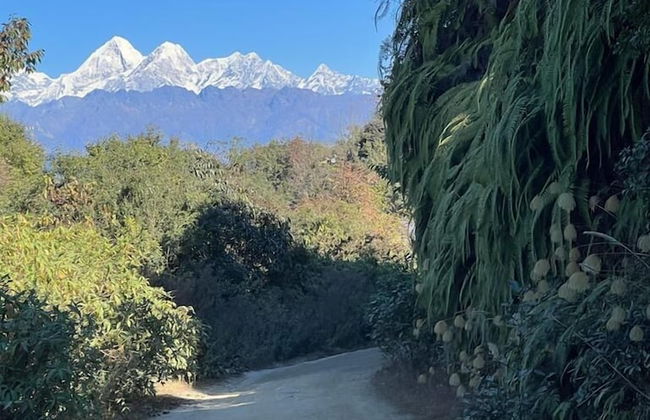 Prakriti Resort and Organic Farm - Foto 29