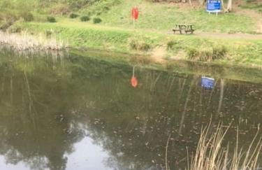 Shangri la at Beauport - Foto 19