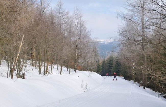 Mrs. Monika Rasehorn - Foto 6