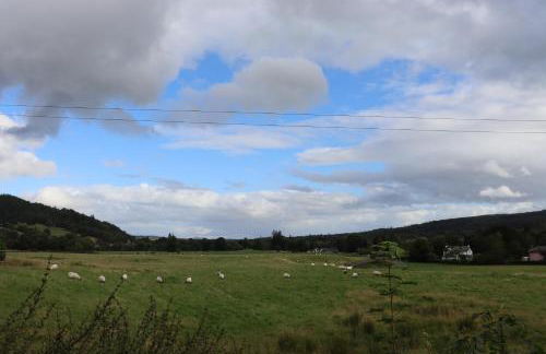 Farmston Lodge - Foto 8