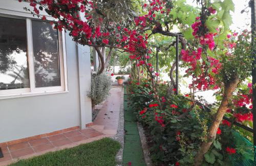 LEMONELIA, one big,4-5 people and one small apartment ,2-3 people - Foto 55