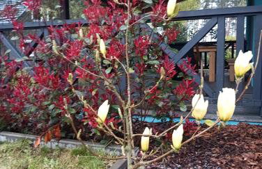 Sea the Blue Garden SPA Odargowo - Foto 32