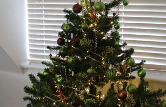 THE HIDEAWAY - LUXURY SELF CATERING COASTAL APARTMENT with PRIVATE ENTRANCE & KEY BOX ENTRY JUST A FEW MINUTES WALK TO THE BEACH, SOLENT WAY WALK, SHOPS and many EATERIES & BARS - FREE OFF ROAD PARKING,FULL KITCHEN, LOUNGE,BEDROOM , BATHROOM & WI-FI - Foto 9