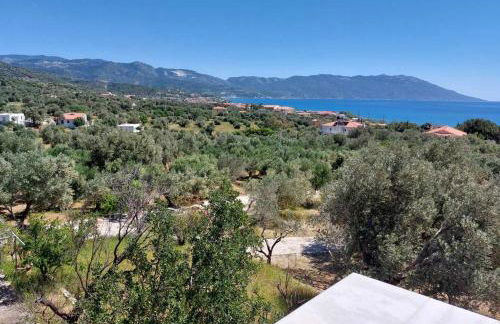 Olive Τree Ηouses - Foto 9