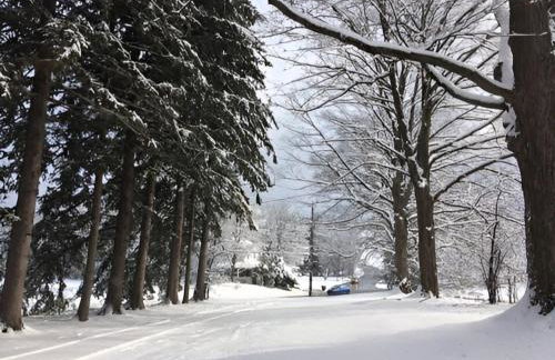 20 min Woodbury Outlet & USMA 35 min Mt Creek - Foto 7