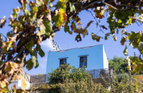 EK Drago Finca el Milagro - Foto 16