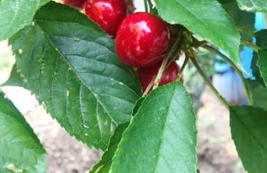 Charming Villa in Resende with Private Pool - Foto 36