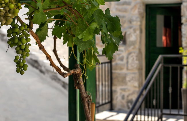 Villa Topolinath Pool - Foto 51