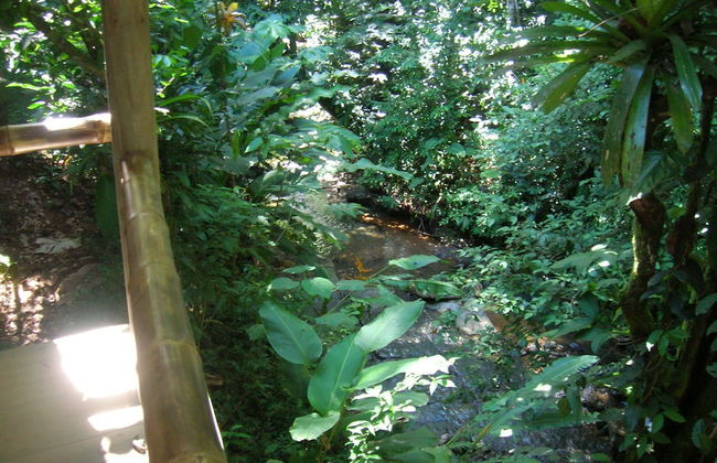 Waterfall Villas - Foto 48