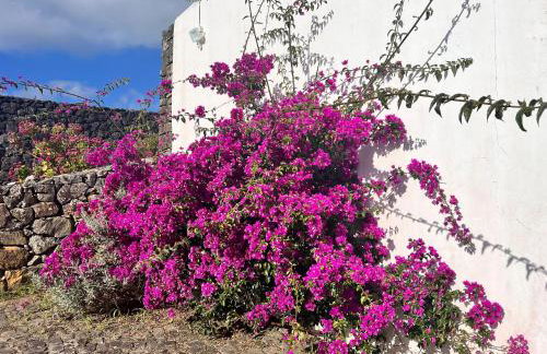 Casa do Becco - Foto 22