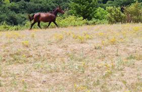 Chalet in legno - Foto 67
