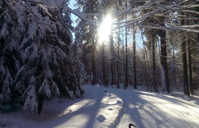 Gemutliches Familienapartment - Foto 24