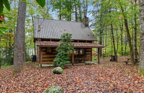 Little Bird Cabin by American Patriot Getaways - Foto 30