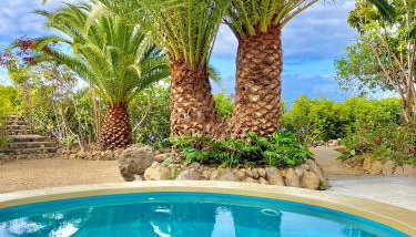 Exclusiva Villa con Piscina Privada, Villa Juandana - Foto 2, Garden, Garden view