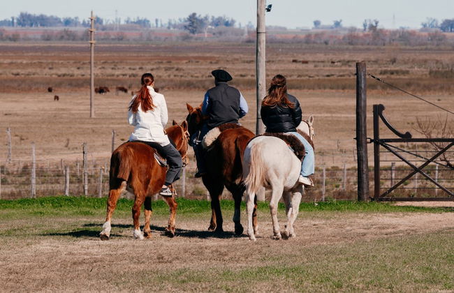 La Santina Posada & Experiencia de Campo - Foto 21