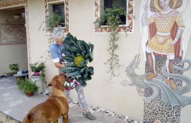 BioAgriturismo Vegan Campo di Cielo - Photo 126