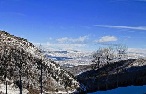 Brettelberg Slopeside Condos A6 - Foto 6