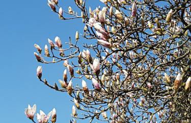 Ferienhaus Haus Herzog - Foto 10