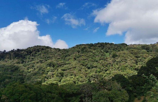 Millar de Aves - Foto 17