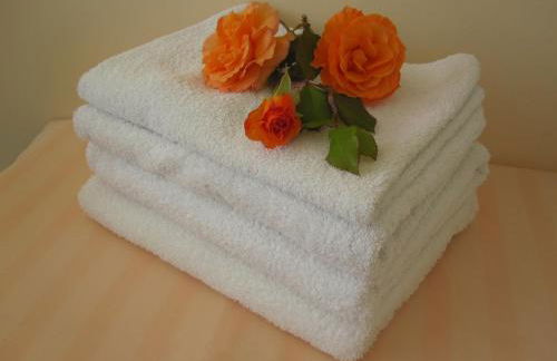 Ferienwohnung Bea in Rheine - Foto 10