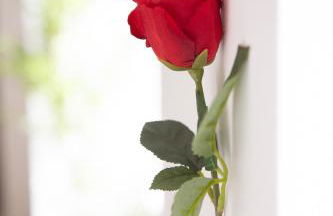 L'enchantée, 6 people, 15 min Disneyland Paris, BBQ - Foto 58