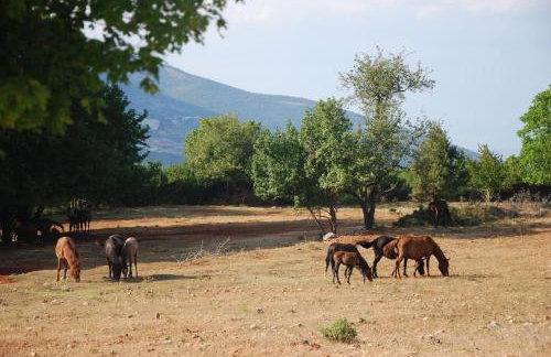 Ενοικιαζόμενη Παραδοσιακή κατοικία Σαν Παραμύθι - Foto 44