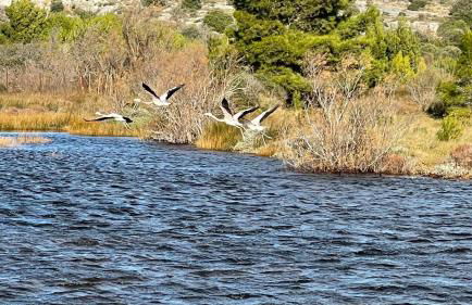 Duplex proche mer, avec swimspa terrasse, jardin et barbecue - Foto 39