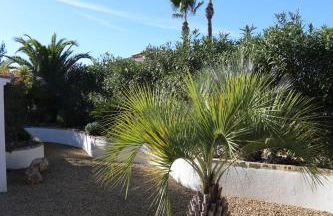 Villa Sal y Mar - Jávea ! Freshly Renovated ! - Foto 43