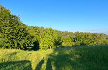 Leśna Ostoja - Foto 17