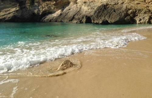 Terra Di Mare - Foto 31