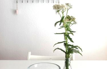 Ferienhaus Winkelhäuschen ab 3 Nächte max 4 Pers - Foto 26