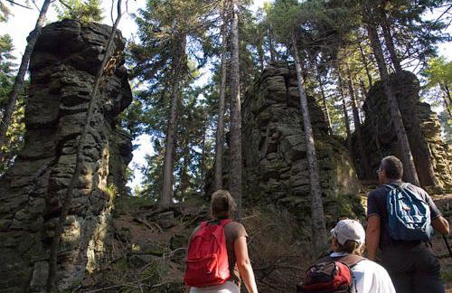 Hofstub´n - Foto 40