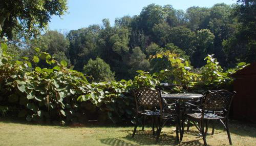 Daisy Cottage near Broadsands beach - Foto 3, Garden