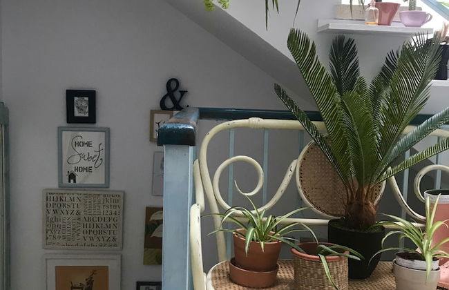 El patio del limonero - Foto 27