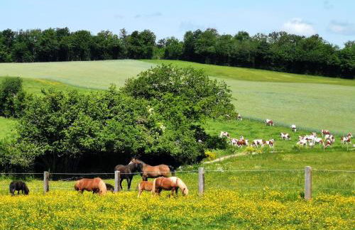 Maison accueillante avec jardin - Le Fied - Foto 12