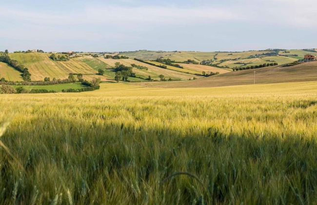 Inviting Holiday Home in San Costanzo With Swimming Pool - Foto 63