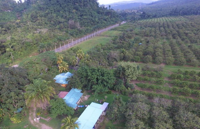 Orchard House - Photo 19